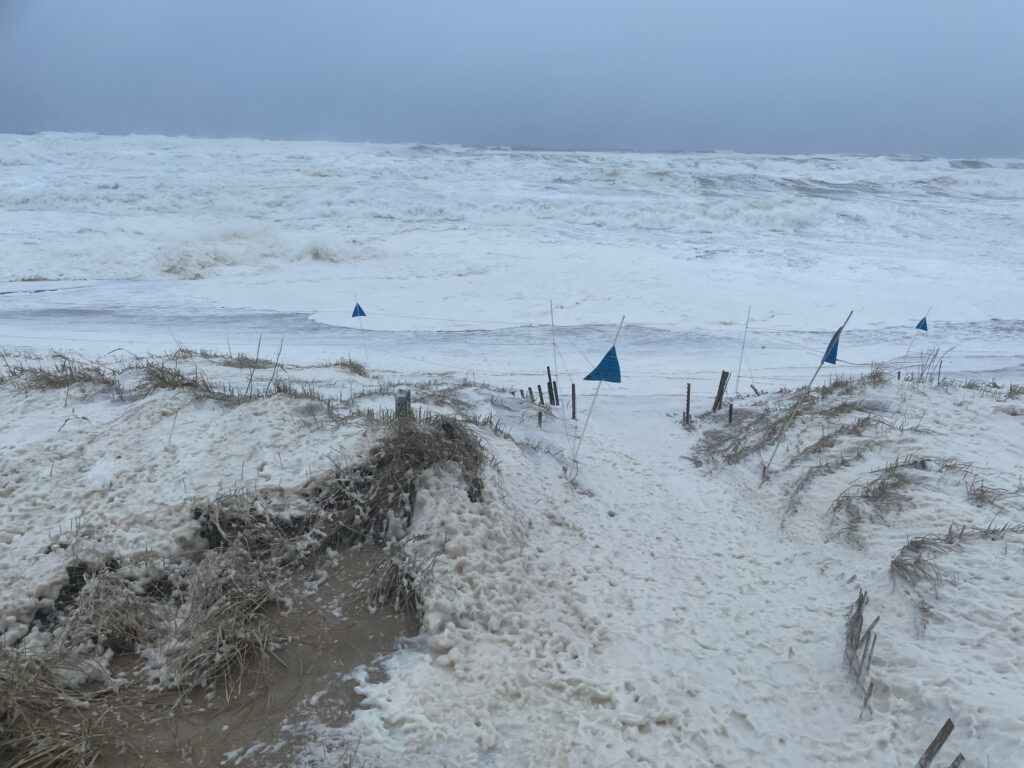 a beach with snow (MyCoast AI)