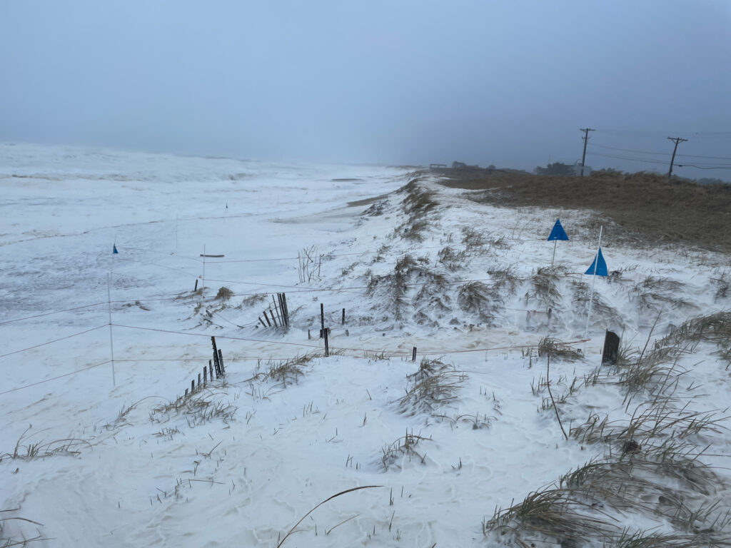 a snowy field with blue flags (MyCoast AI)