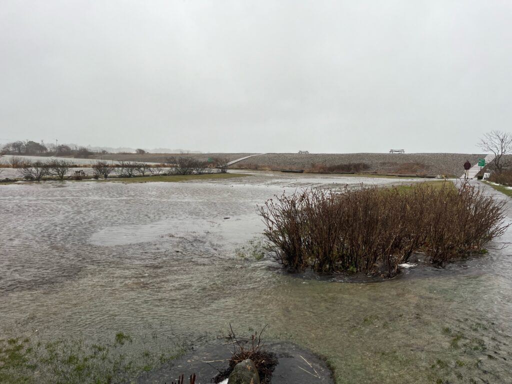 a body of water with a bush and a person walking on the side (MyCoast AI)