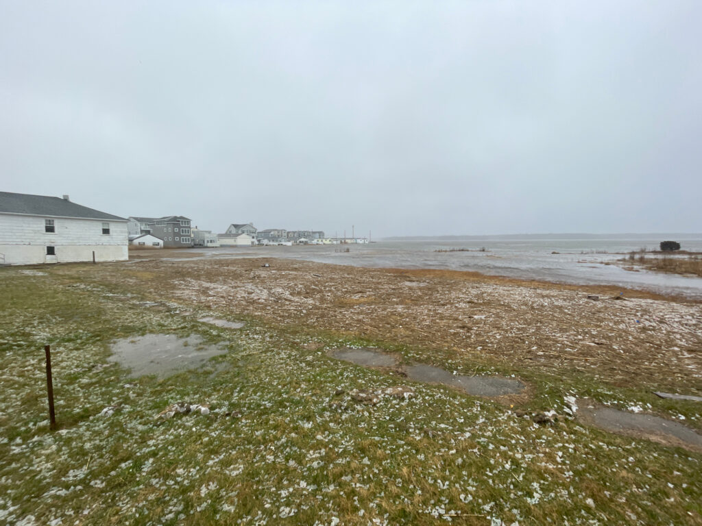 a beach with grass and buildings (MyCoast AI)
