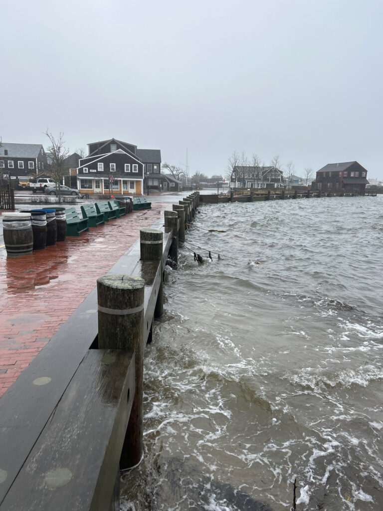 a body of water with a dock and buildings along it (MyCoast AI)