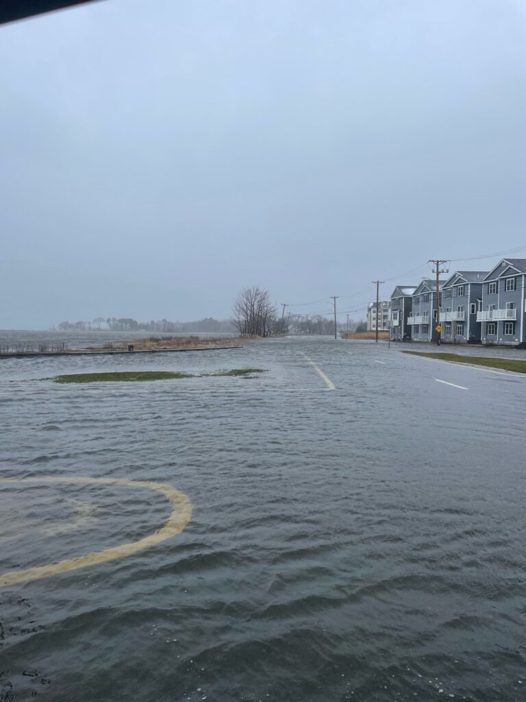 a road with water on the side (MyCoast AI)