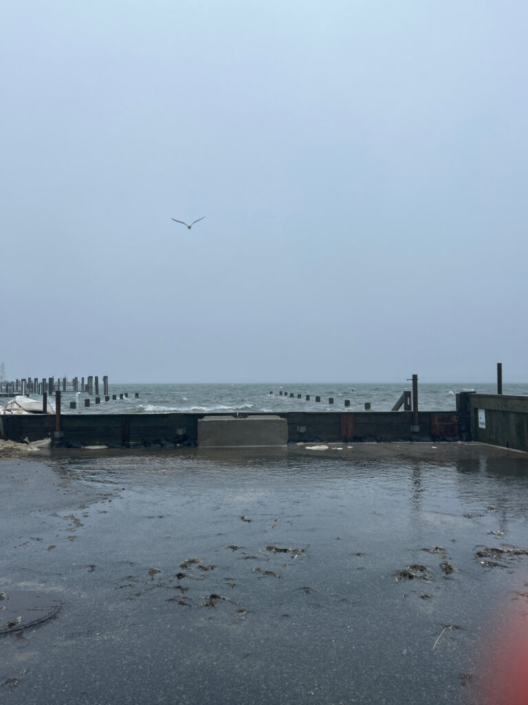 a bird flying over a pier (MyCoast AI)