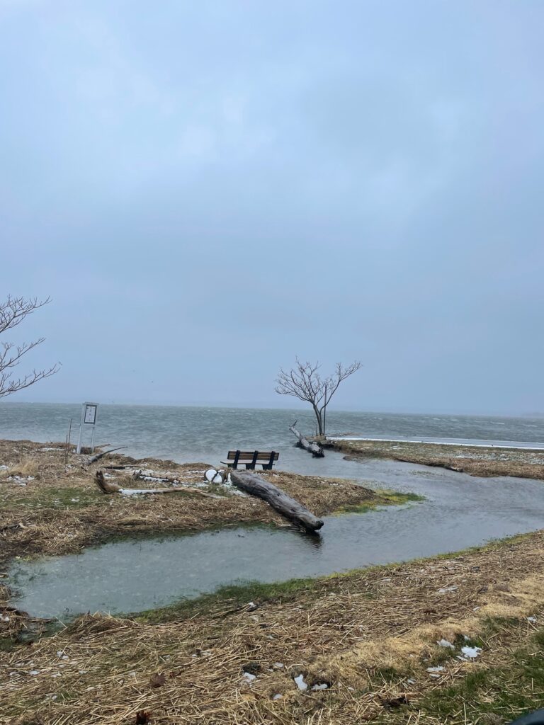 a bench on a beach (MyCoast AI)