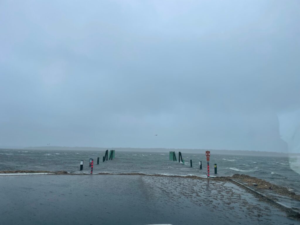 a beach with a body of water in the background (MyCoast AI)