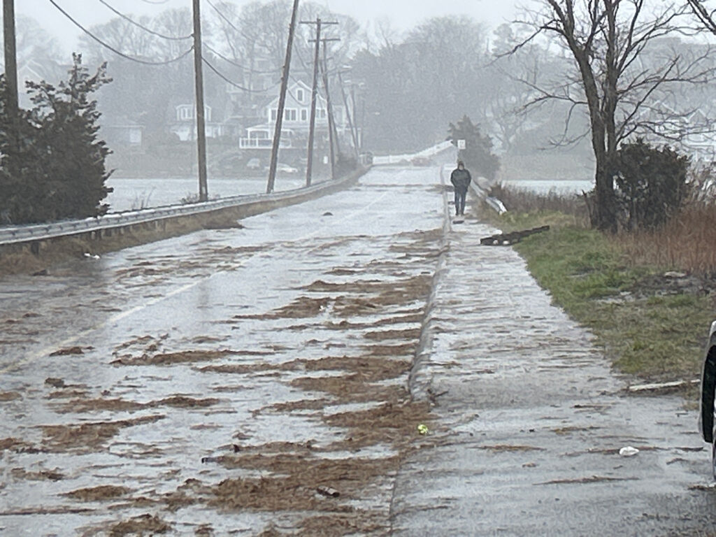 a person walking a dog on a wet road (MyCoast AI)