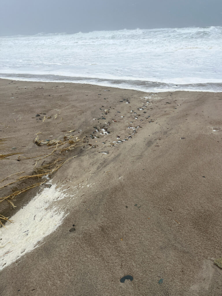 a sandy beach with waves crashing (MyCoast AI)