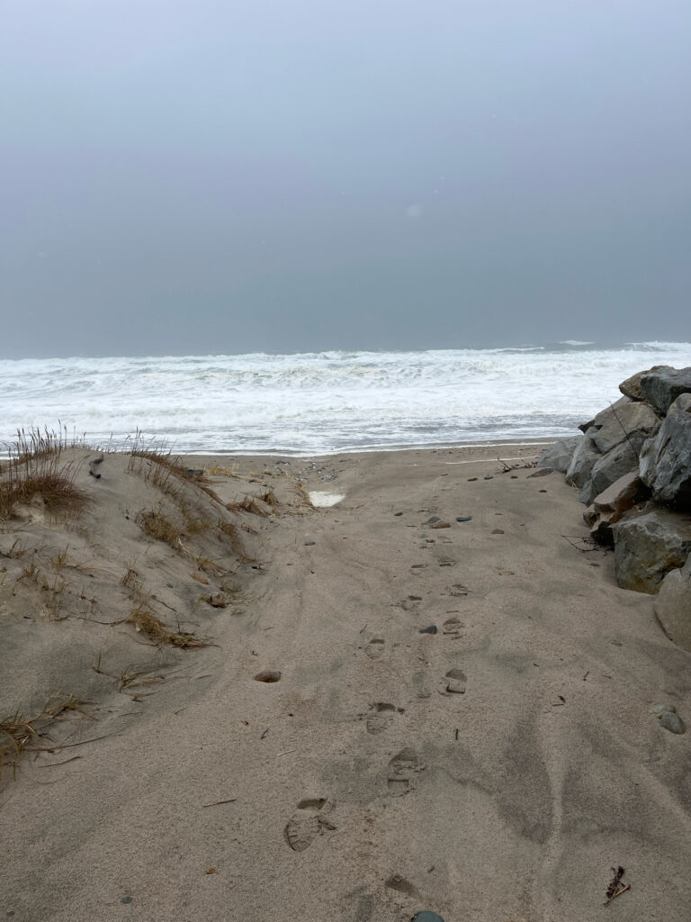 a sandy beach with rocks and water (MyCoast AI)