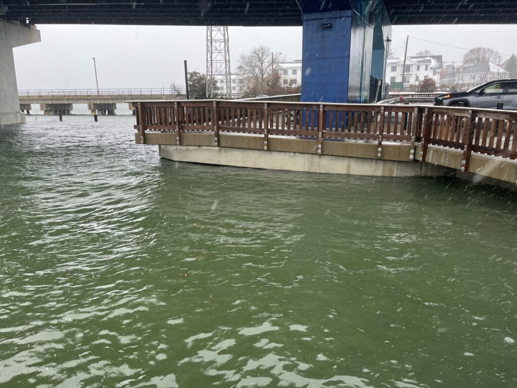 a bridge over a body of water (MyCoast AI)