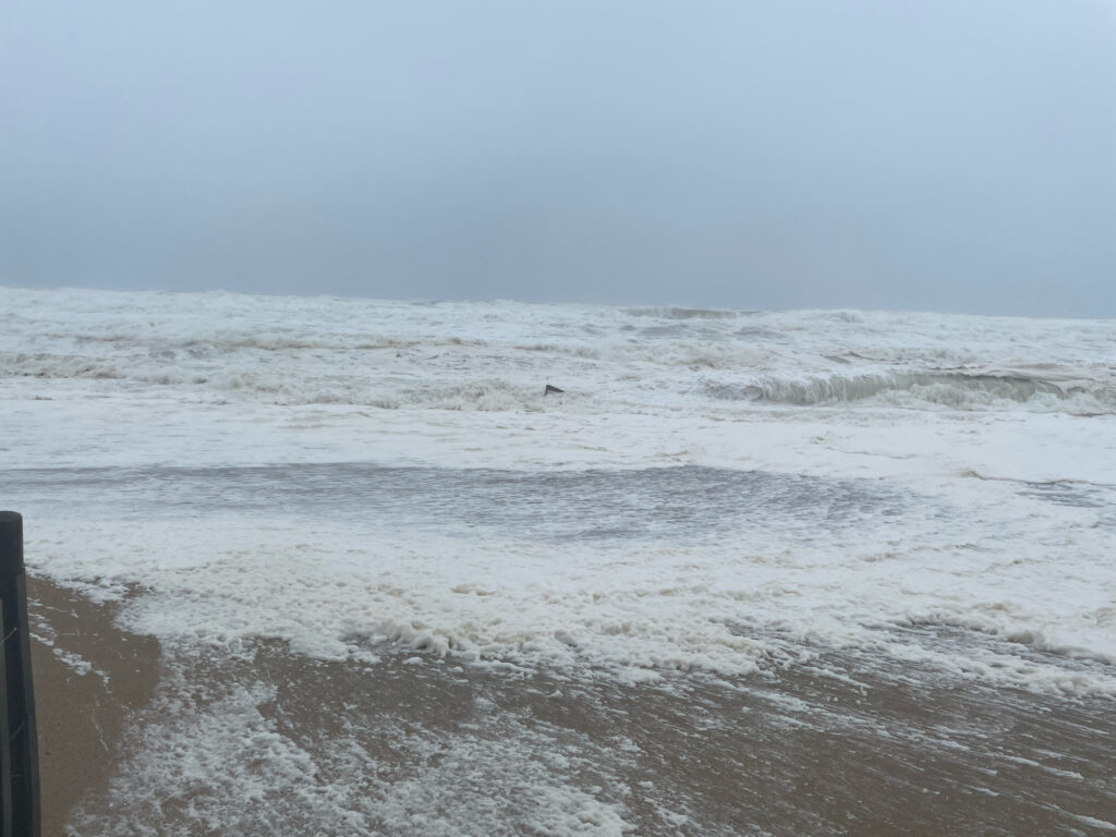 waves crashing on a beach (MyCoast AI)