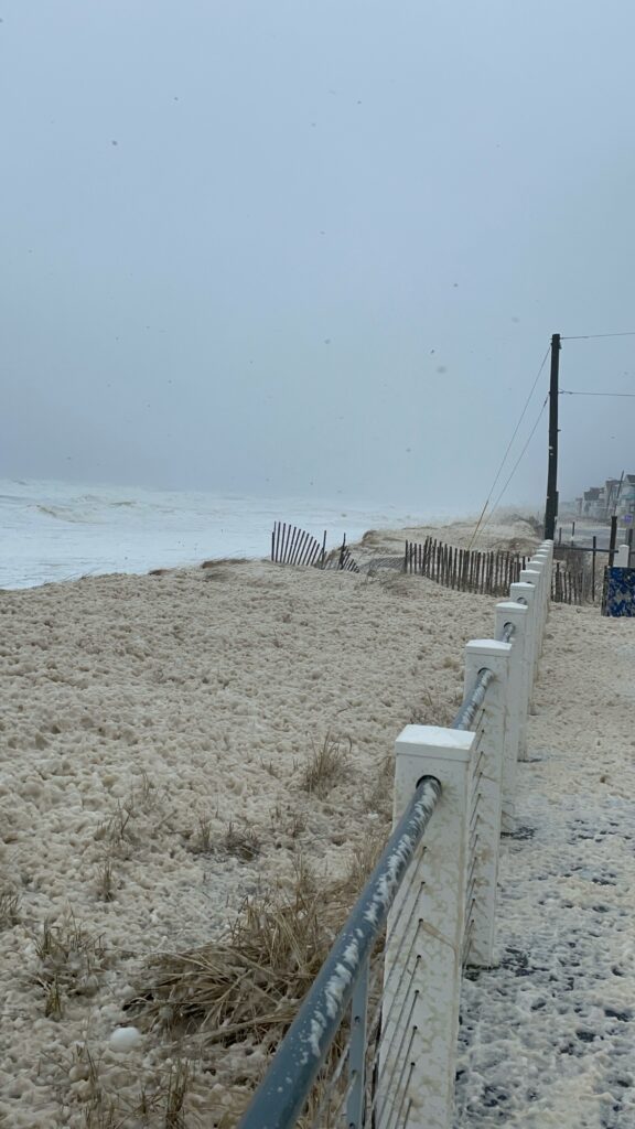 a beach with a fence and a railing (MyCoast AI)