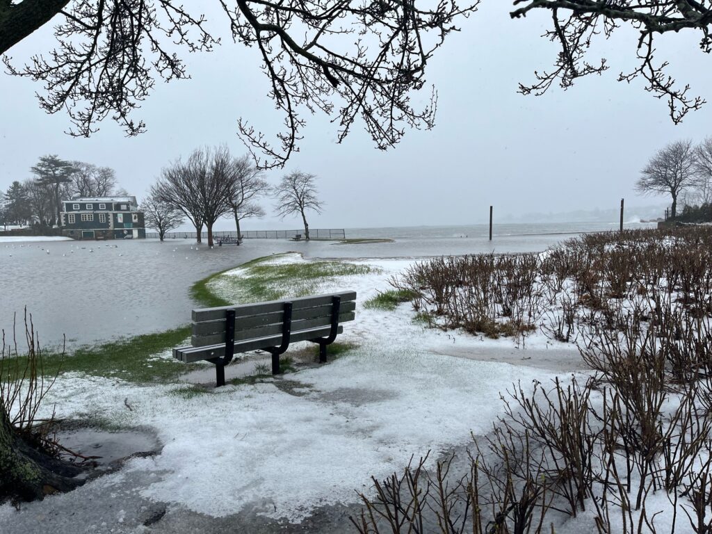 a bench sits in the middle of a frozen lake (MyCoast AI)