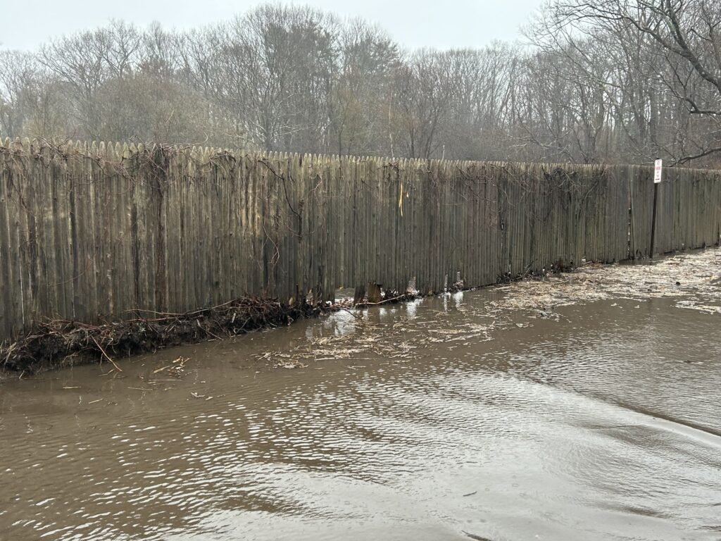 a group of ducks in a pond (MyCoast AI)