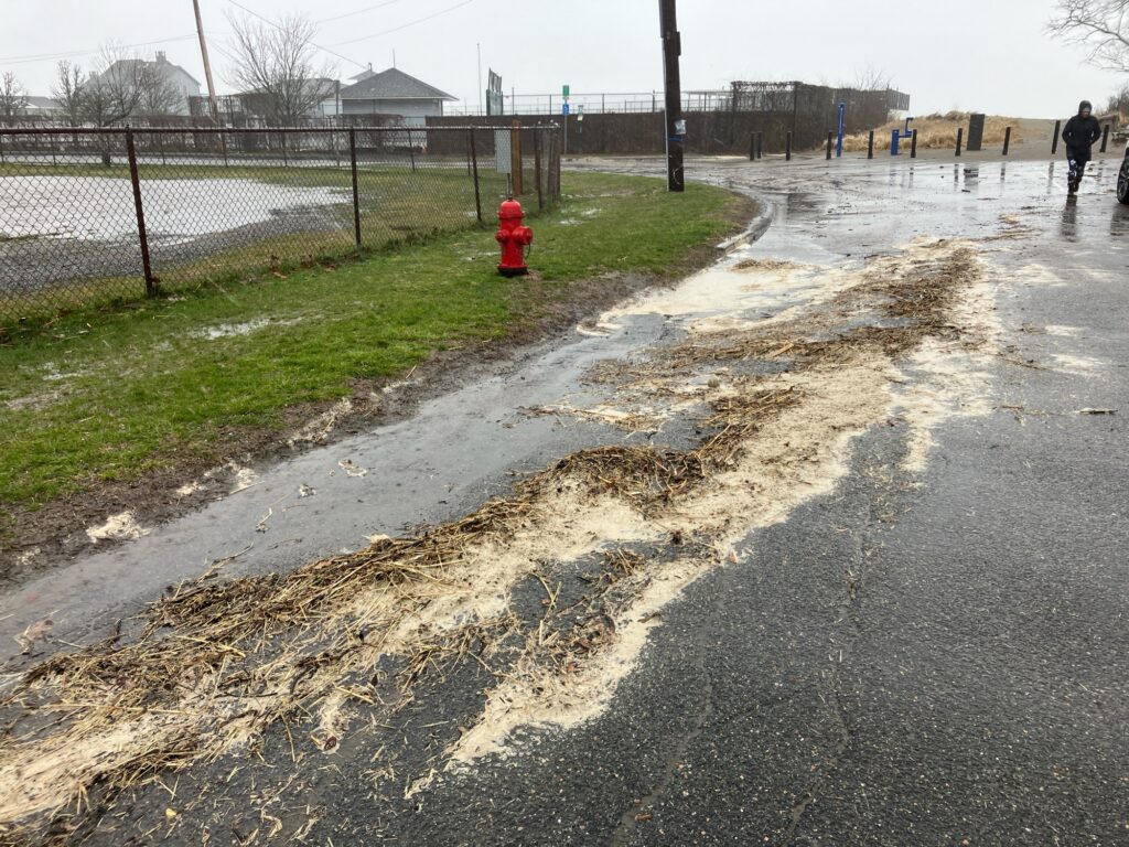 a red fire hydrant on a wet road (MyCoast AI)