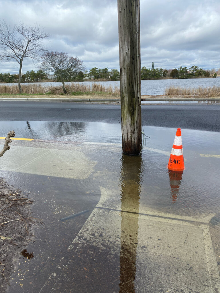 a construction cone on a road (MyCoast AI)