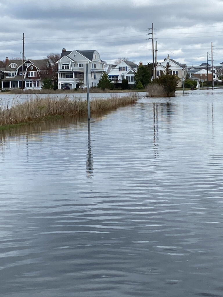 a flooded area with houses in the background (MyCoast AI)