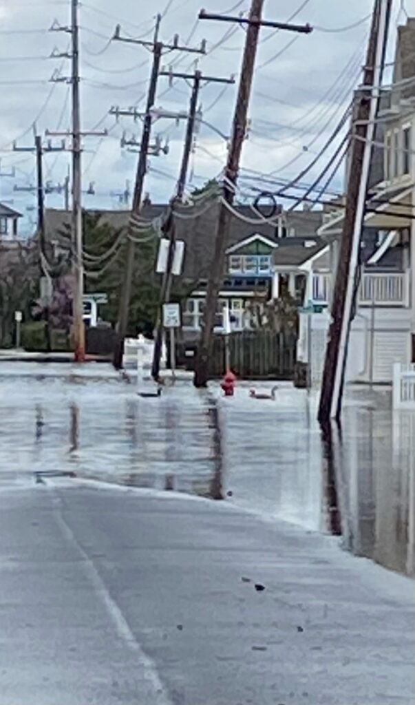 a flooded street with houses and power lines (MyCoast AI)