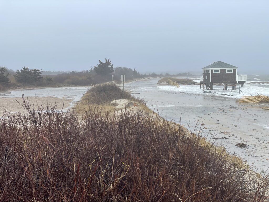 a small house on a beach (MyCoast AI)