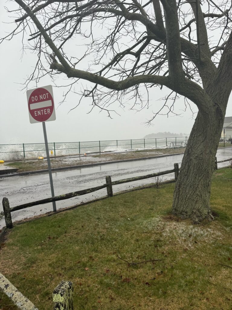 a stop sign next to a tree (MyCoast AI)
