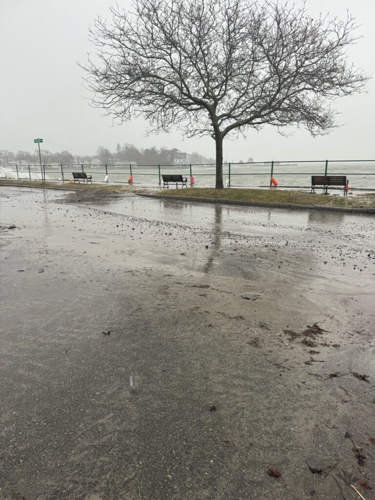 a tree in a flooded area (MyCoast AI)