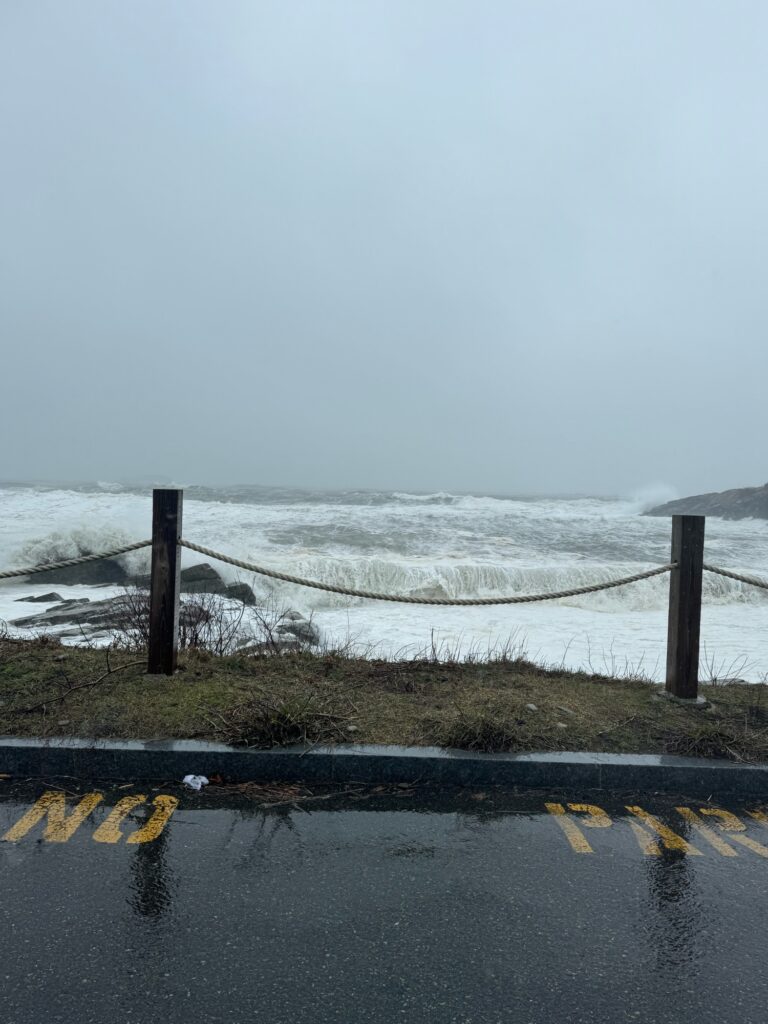 a road next to a body of water (MyCoast AI)