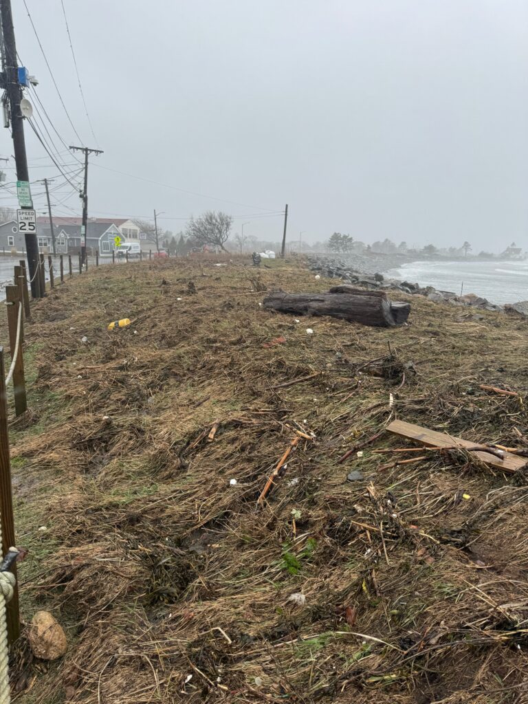 a field with a pile of wood and a fence (MyCoast AI)