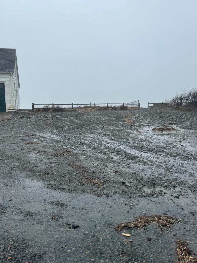 a snowy field with a building in the background (MyCoast AI)