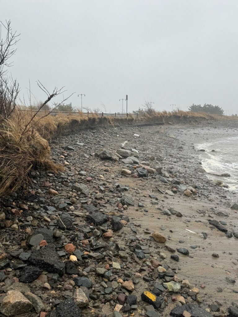 a rocky beach with water and trees (MyCoast AI)