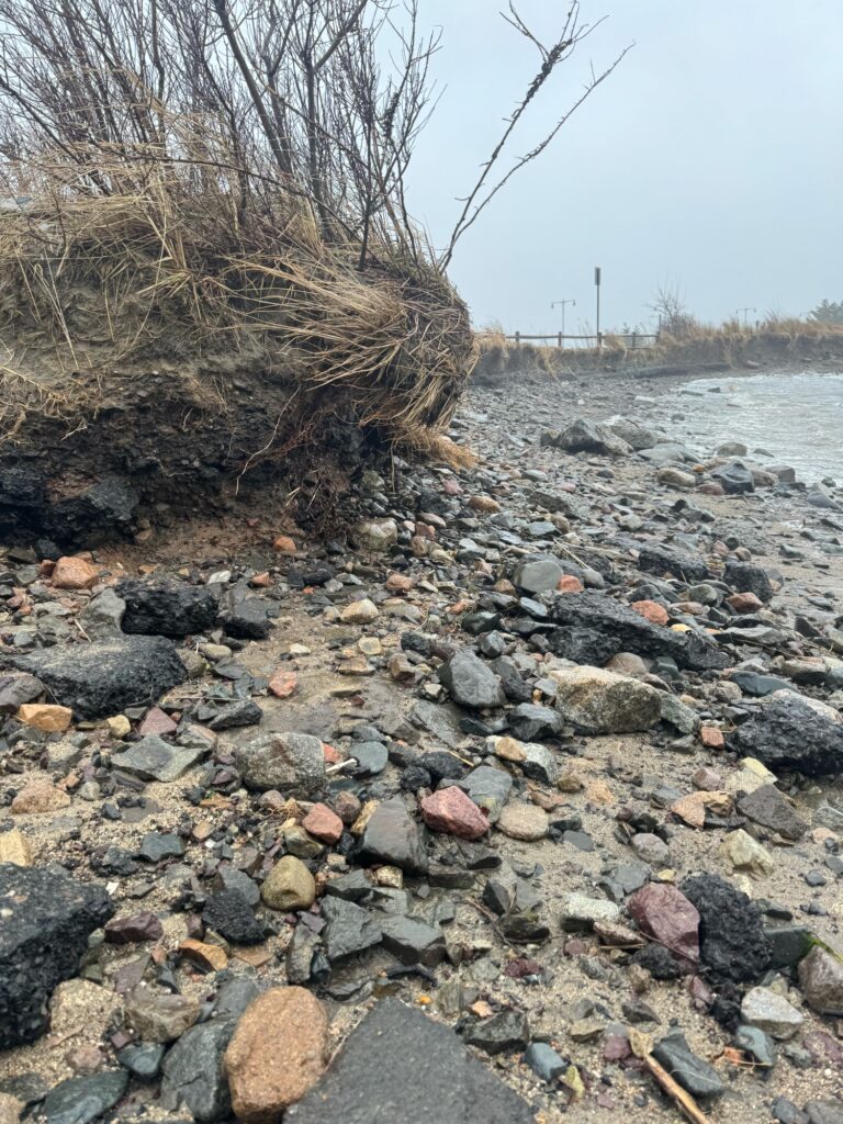a rocky beach with a tree (MyCoast AI)