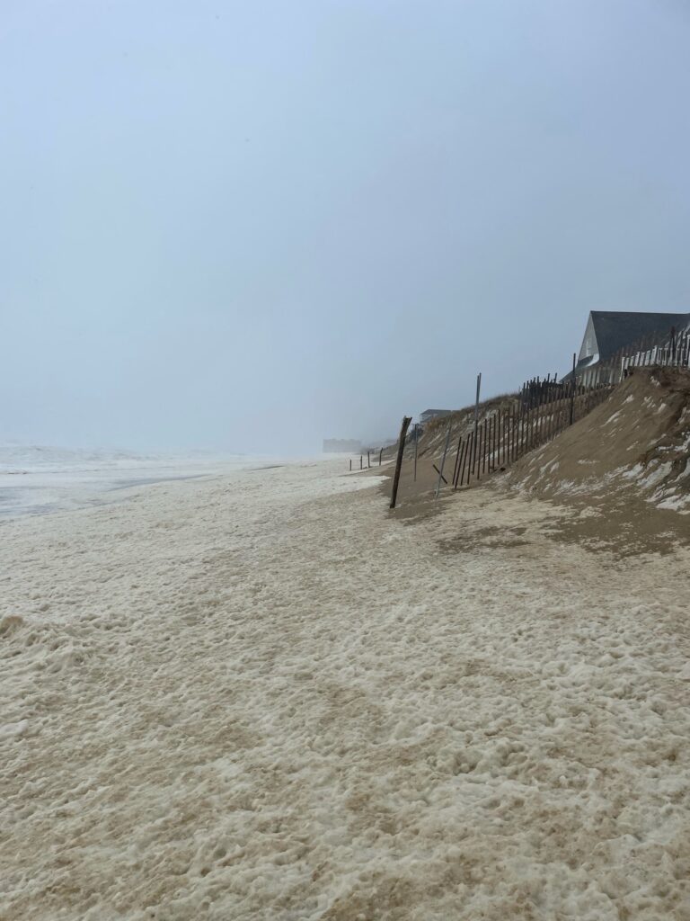 a sandy beach with a fence (MyCoast AI)