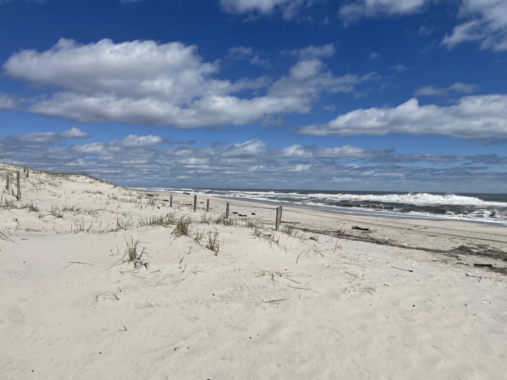 a sandy beach with a fence and water in the background (MyCoast AI)