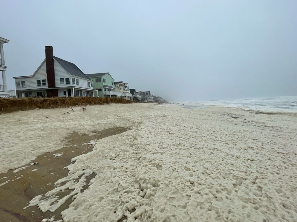 a beach with houses along it (MyCoast AI)