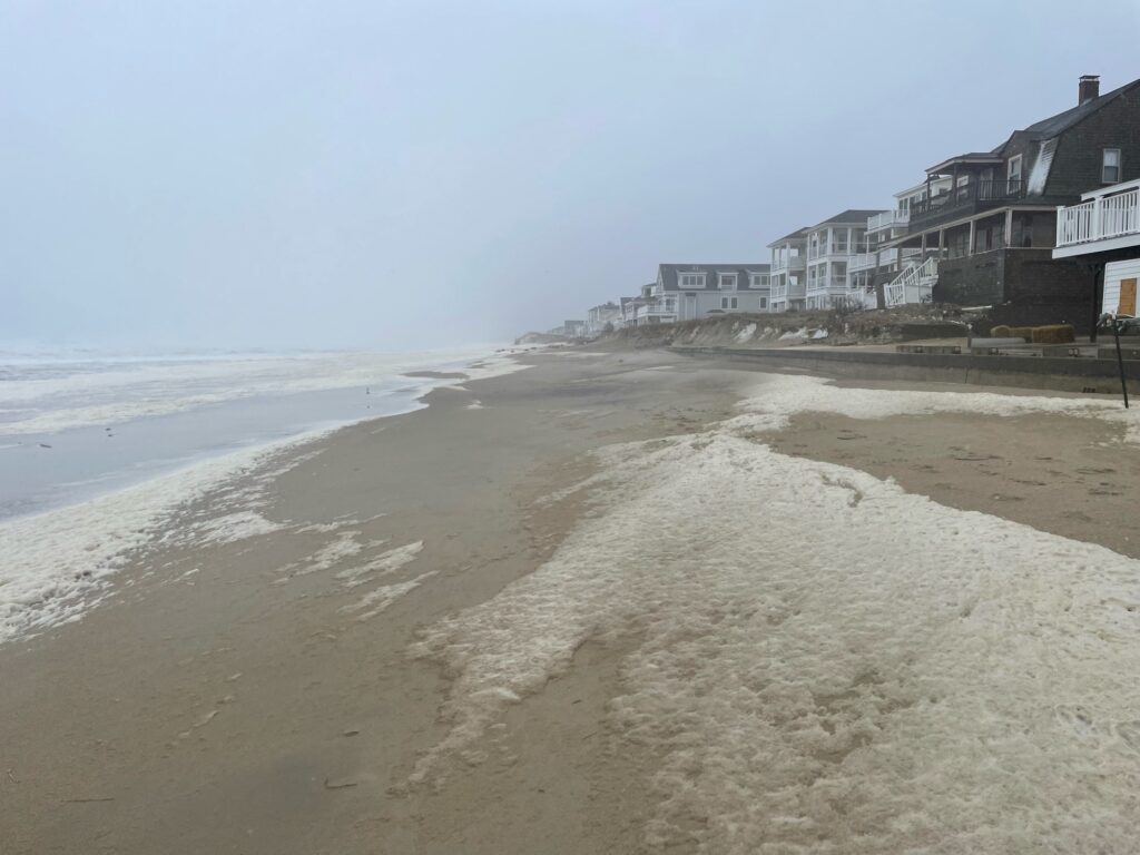 a beach with houses along it (MyCoast AI)