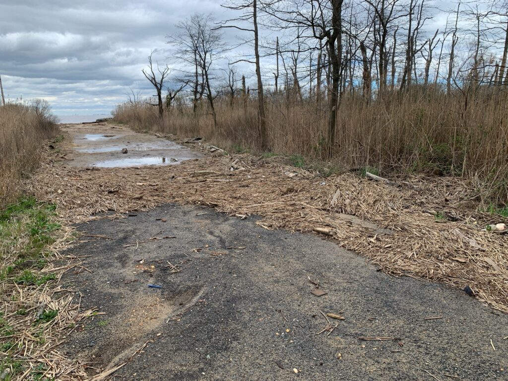 a dirt path with trees on the side (MyCoast AI)