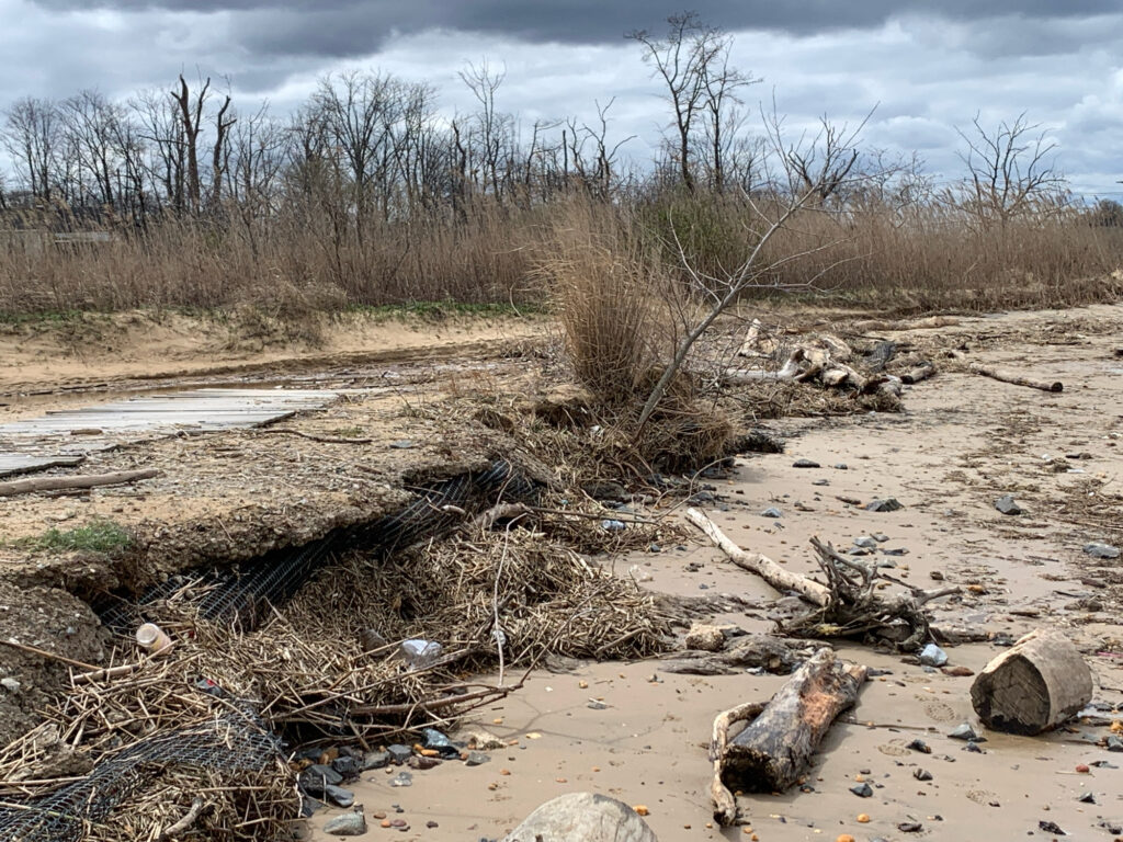a pile of debris and trees (MyCoast AI)