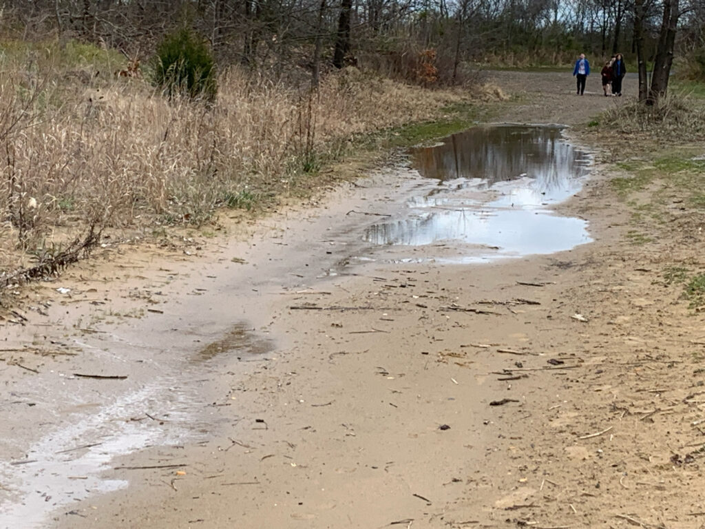 a group of people walking on a dirt path in the woods (MyCoast AI)