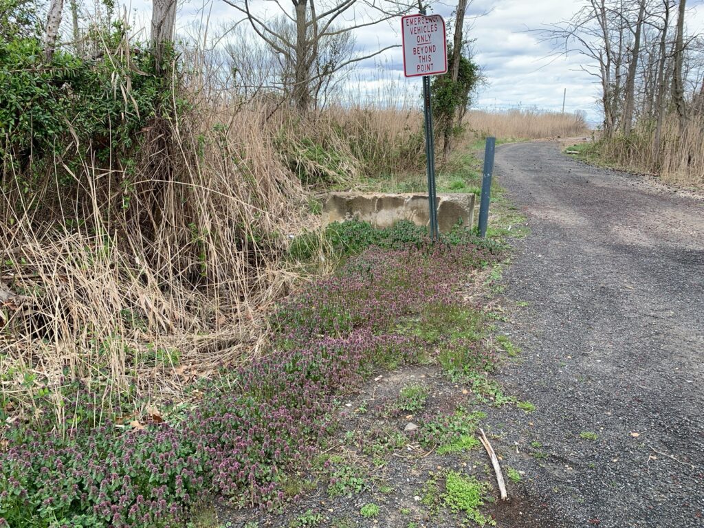 a sign on a road (MyCoast AI)