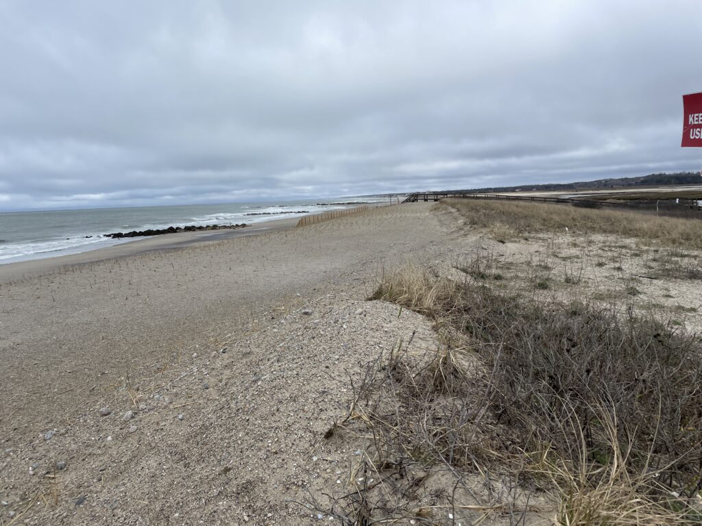 a sandy beach with waves crashing on it (MyCoast AI)