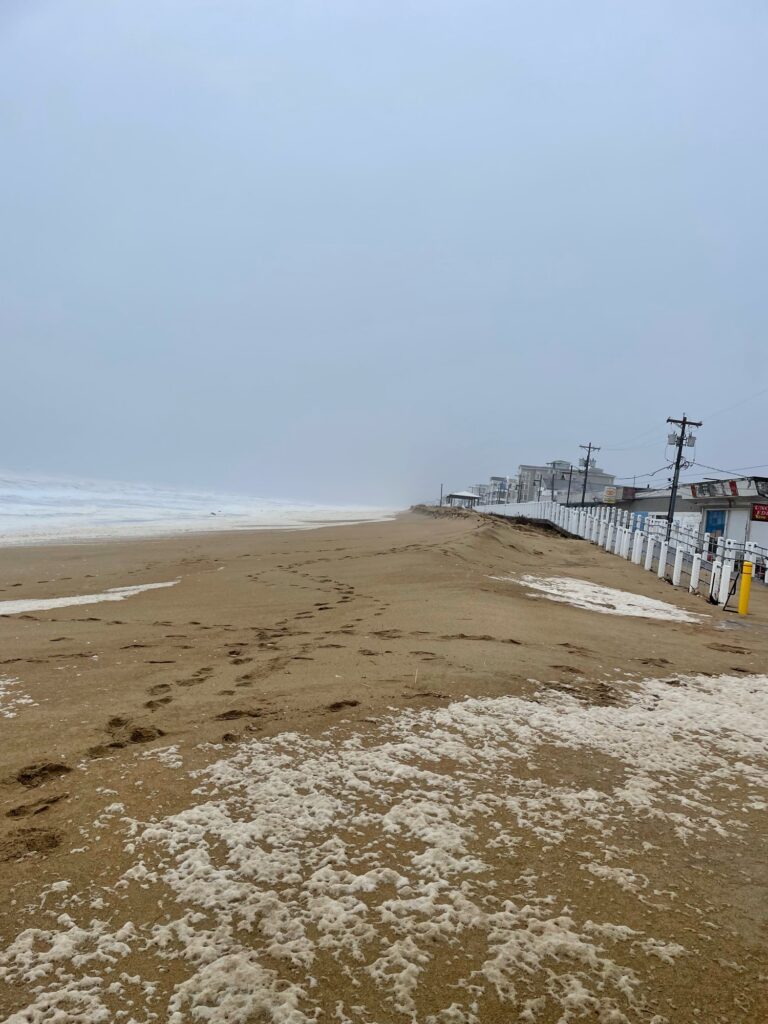a sandy beach with a pier (MyCoast AI)