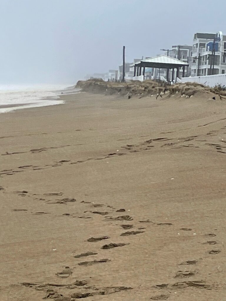 a sandy beach with a structure in the distance (MyCoast AI)