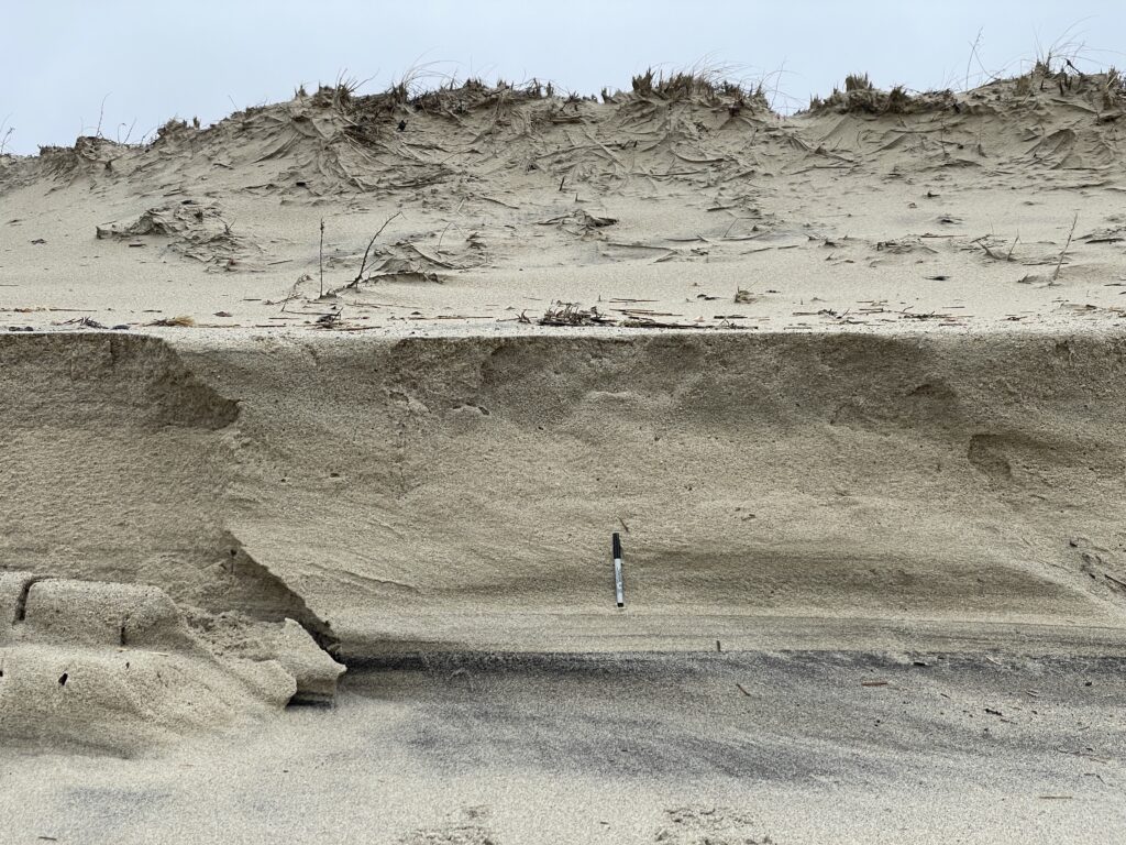 a person standing in a sandy area (MyCoast AI)