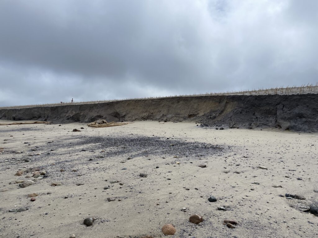 a rocky beach with a hill in the background (MyCoast AI)