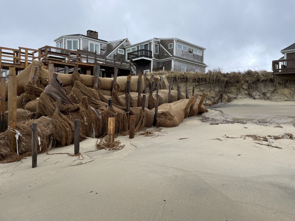 a pile of wood on a beach (MyCoast AI)