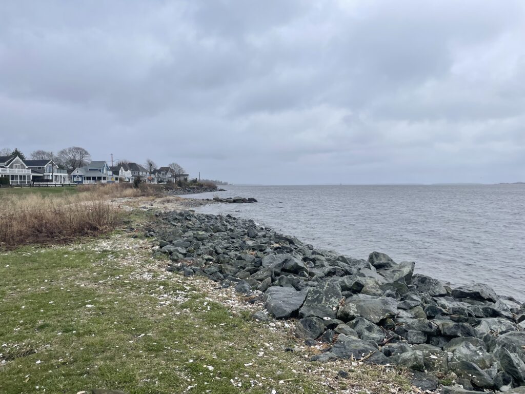 a rocky beach with houses and water (MyCoast AI)
