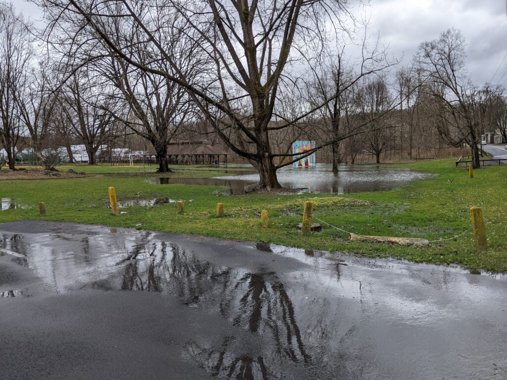 a puddle of water in a park (MyCoast AI)