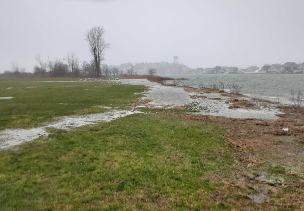 a stream of water with grass and trees around it (MyCoast AI)