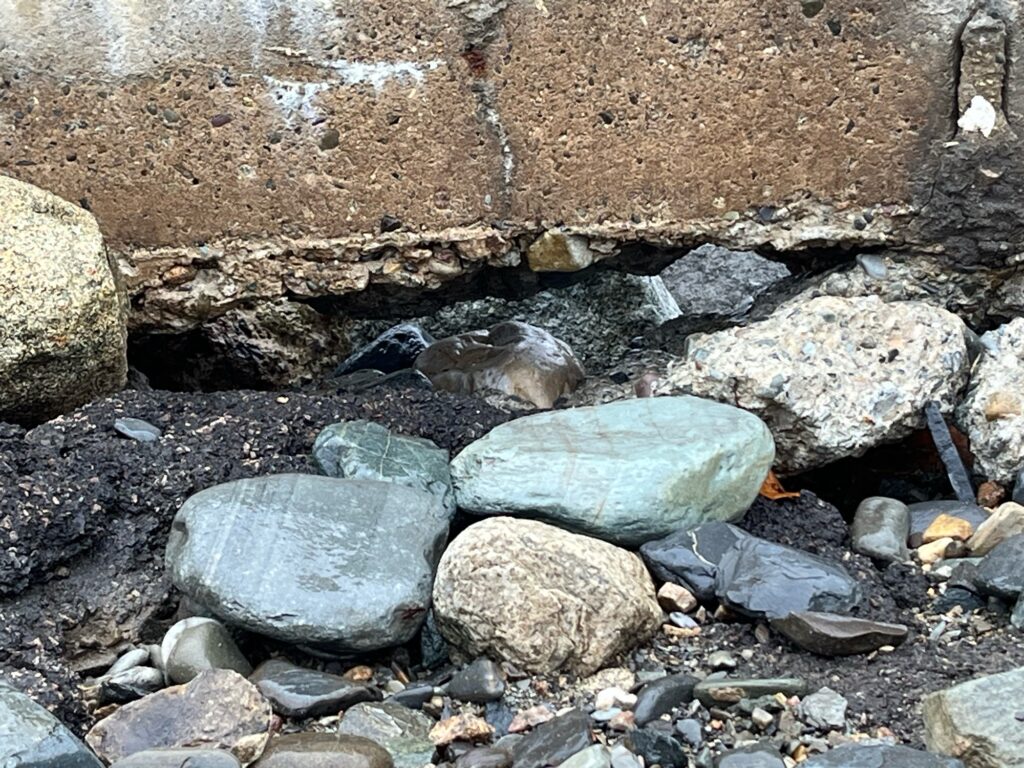a group of rocks and a pile of rocks (MyCoast AI)