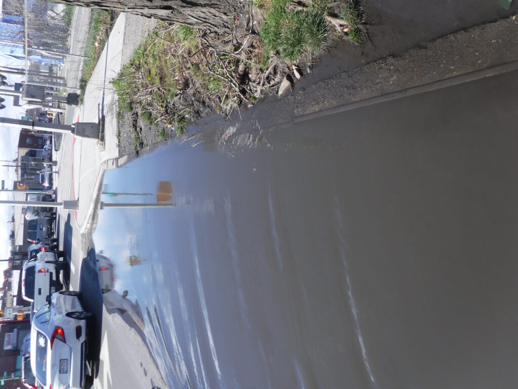 a road with cars and trees (MyCoast AI)