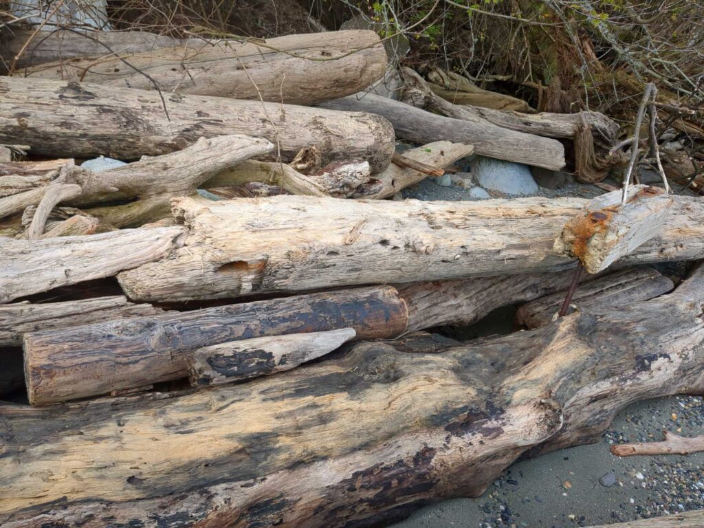 a group of logs (MyCoast AI)