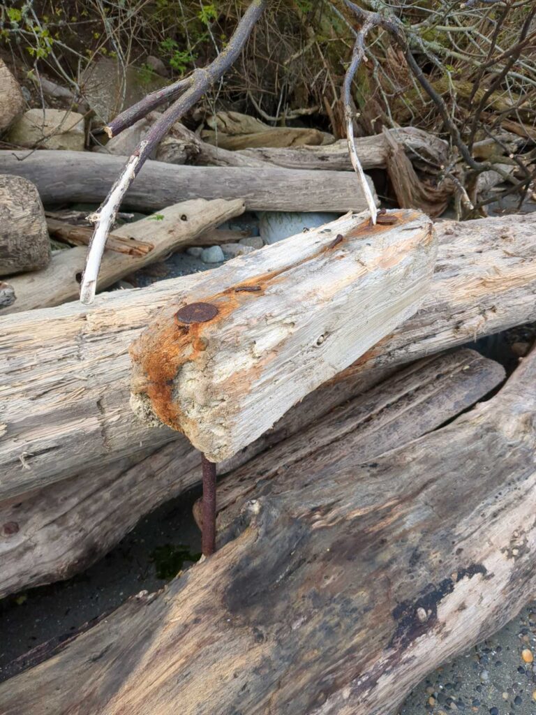 a wooden bench in a park (MyCoast AI)